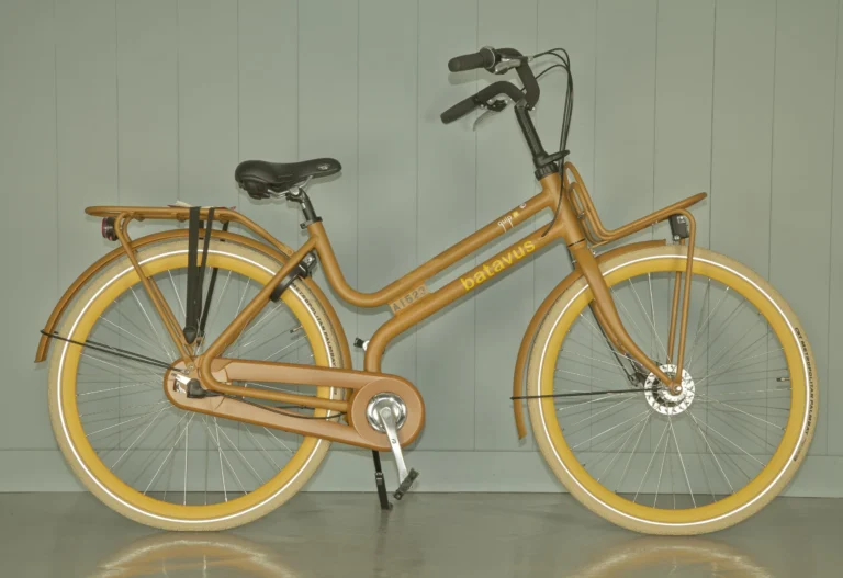 location de vélo dans le 17